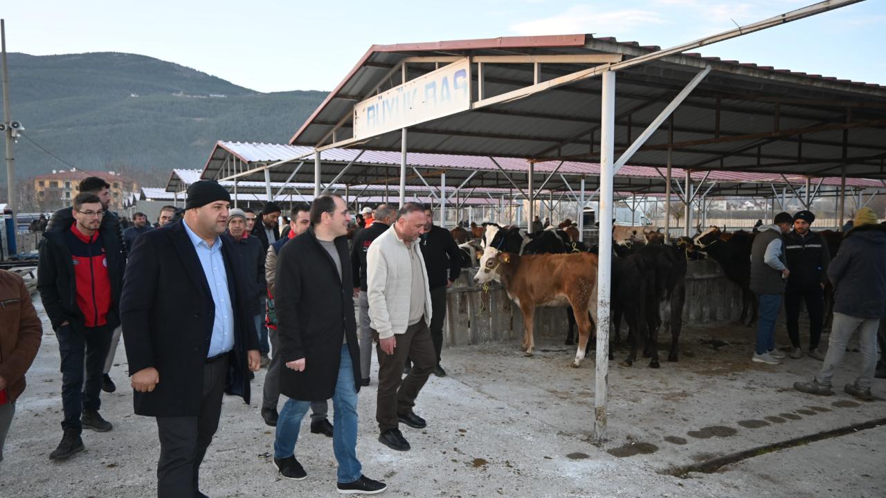 Otomatik Taslak