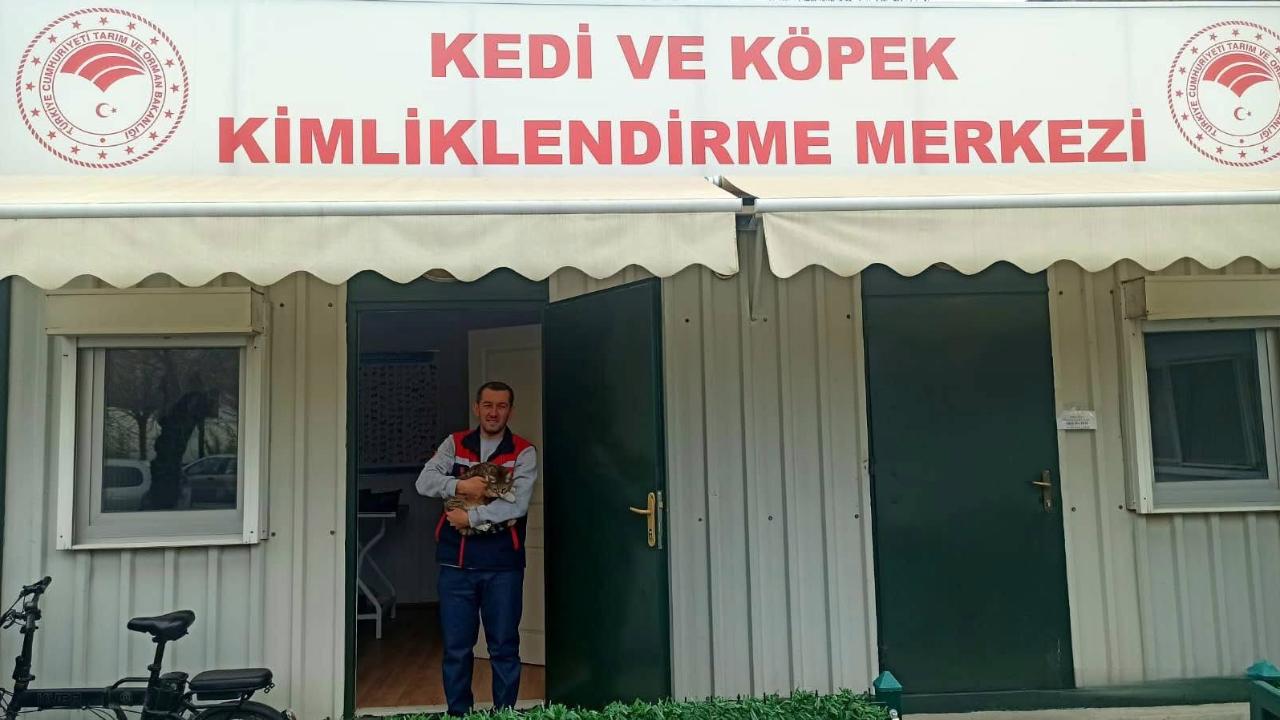 Otomatik Taslak