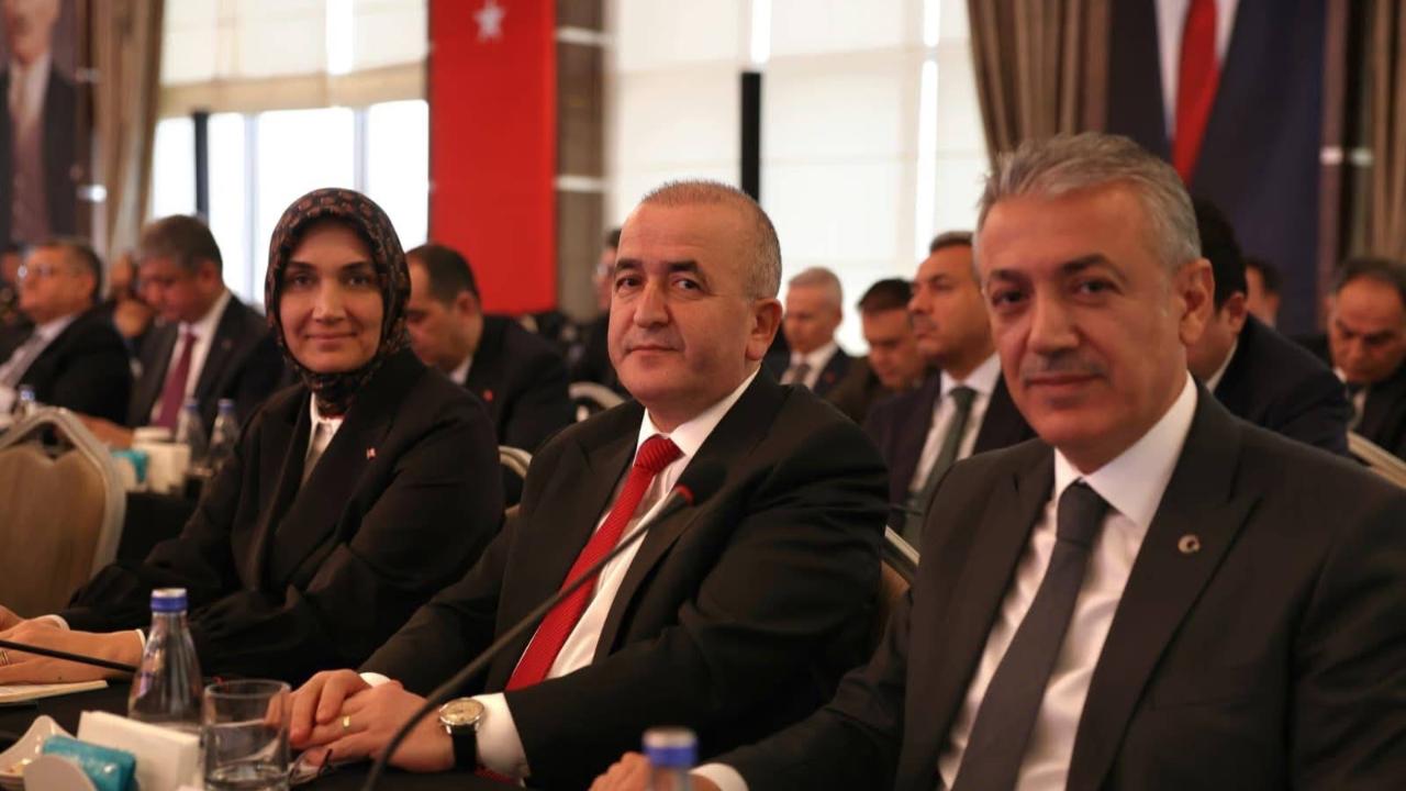 Otomatik Taslak
