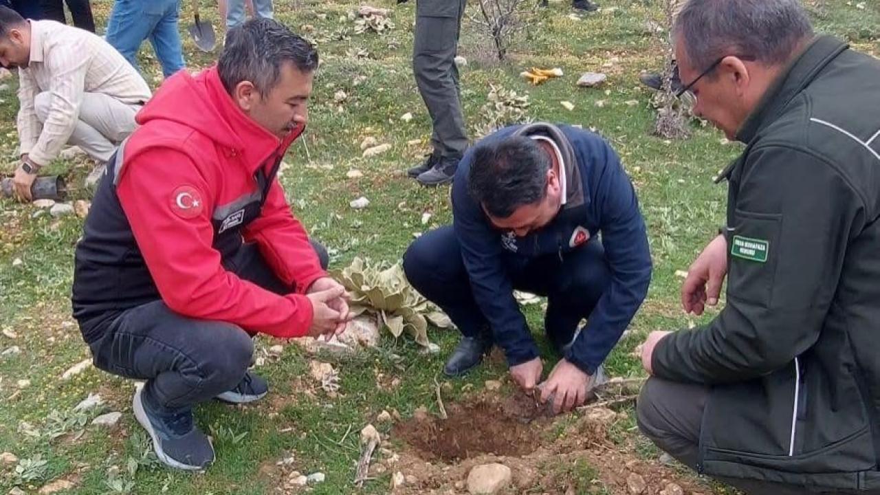 Çay İlçesinde Yüzlerce Fidan Toprakla Buluştu