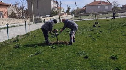 Emirdağ’da Her Mahalleye Meyve Bahçesi Projesi Sürüyor