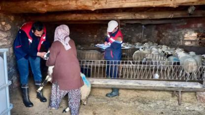 Afyon’da Kuzu Kontrolleri Aralıksız Devam Ediyor