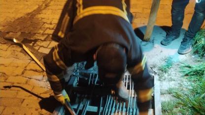 Bolvadin’de Yağmur Menfezine Düşen Yavru Köpek Ekiplerin Müdahalesiyle Kurtarıldı