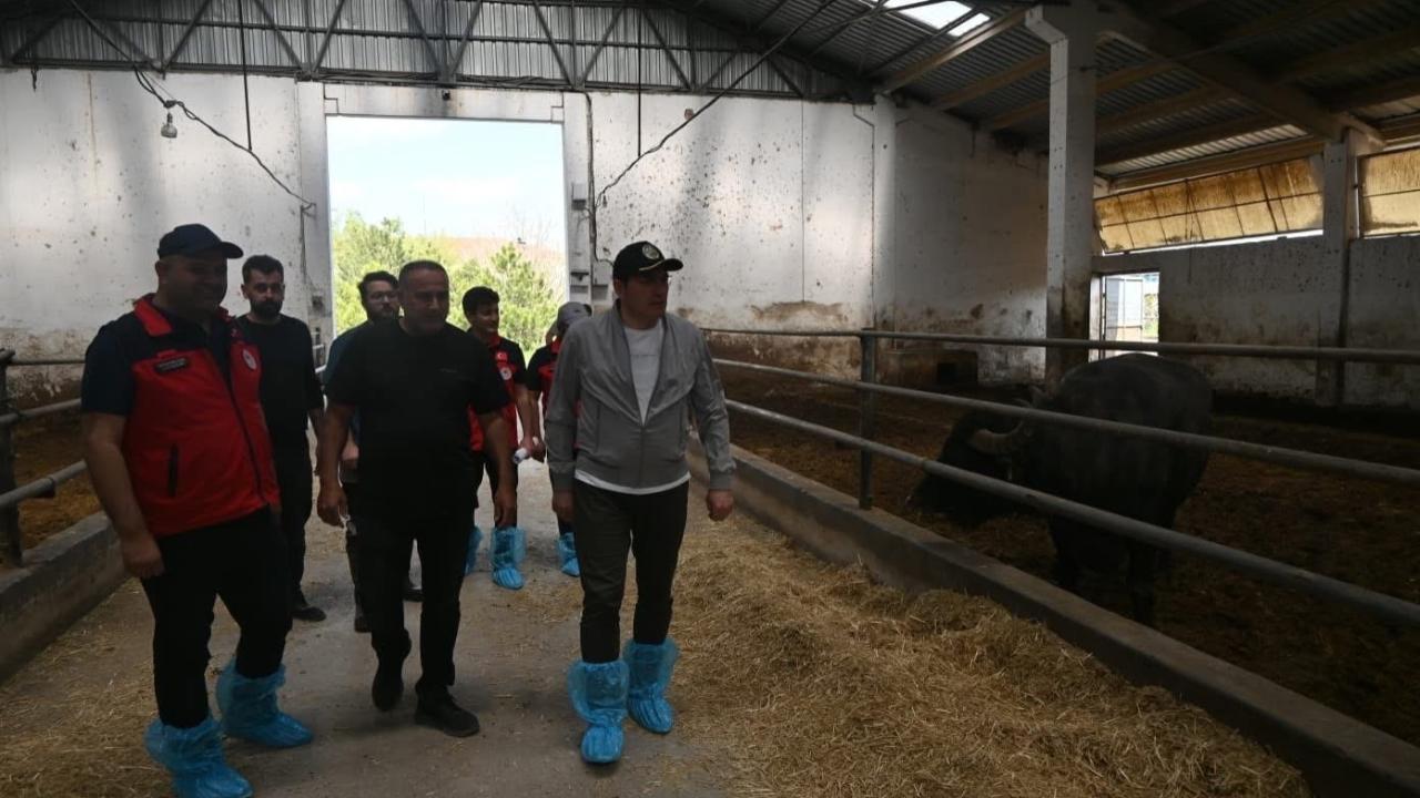 Çay’da Kurban Bayramı Öncesi Hayvancılık Tesislerine Ziyaret