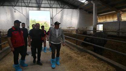 Çay’da Kurban Bayramı Öncesi Hayvancılık Tesislerine Ziyaret
