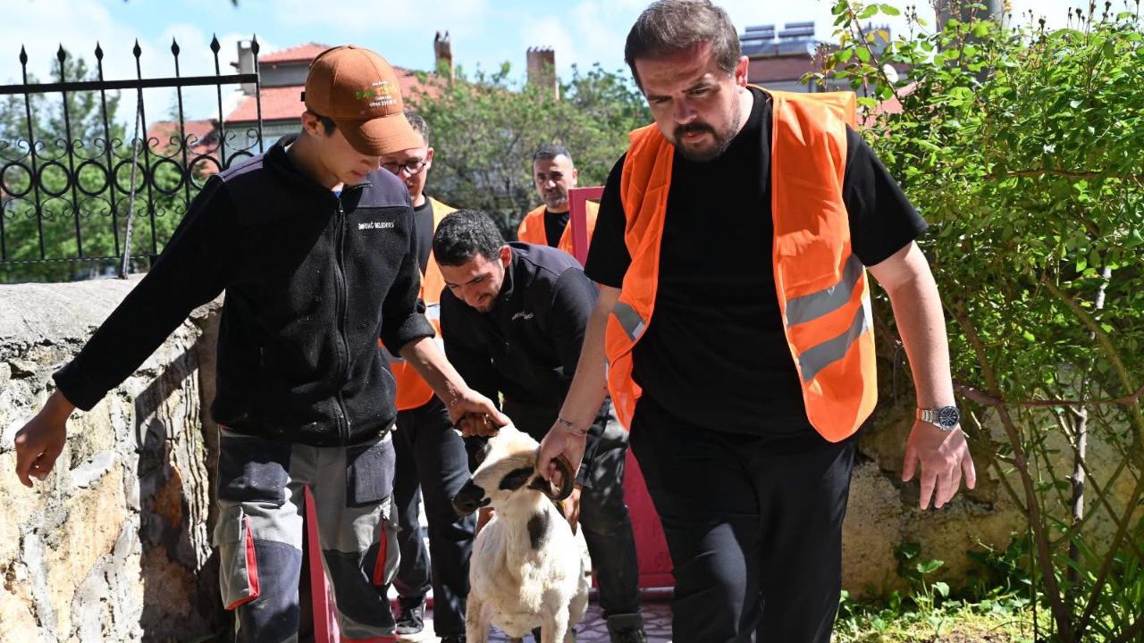 Emirdağ’da 98 Aileye Canlı Kurbanlık Ulaştırıldı