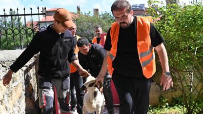 Emirdağ’da 98 Aileye Canlı Kurbanlık Ulaştırıldı