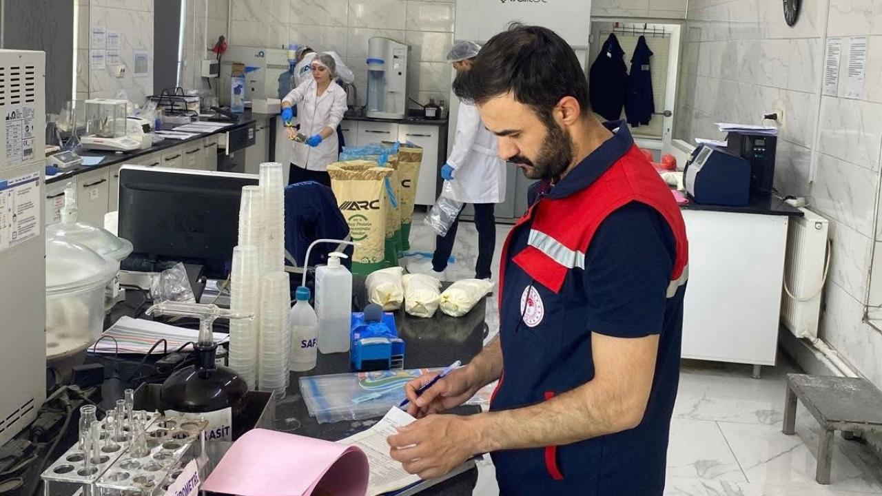 Bolvadin Peyniri İhracat Yolunda Sıkı Denetimden Geçti