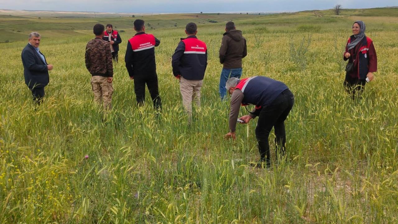 Bolvadin’de Dolu ve Şiddetli Yağış Tarım Arazilerinde Hasara Yol Açtı