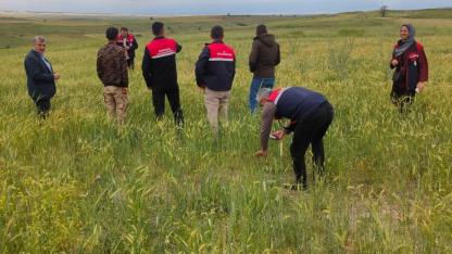 Bolvadin’de Dolu ve Şiddetli Yağış Tarım Arazilerinde Hasara Yol Açtı