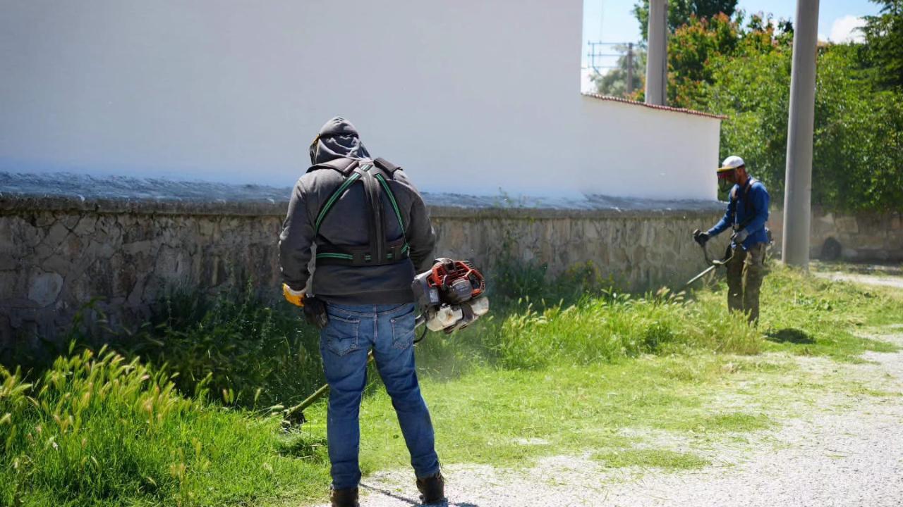 Bolvadin’de Ot Biçme Çalışmaları Sürüyor