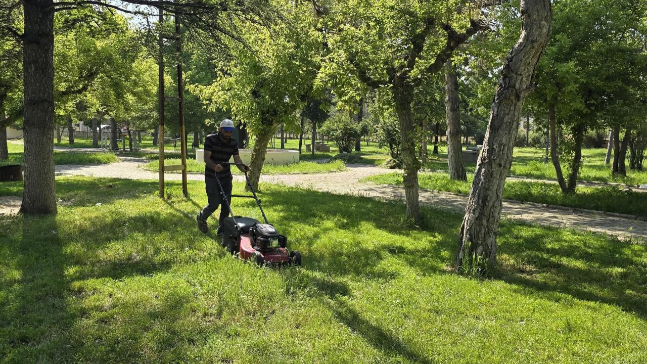 Bolvadin’de Yabani Ot Temizliği Devam Ediyor