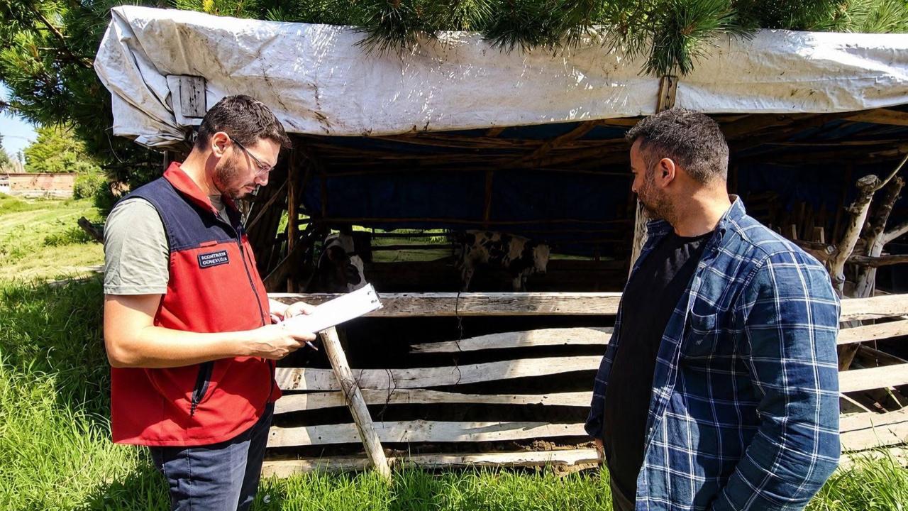 Çay’da Buzağı Kayıpları Azalacak