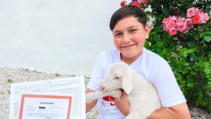 Çobanlar’da Duygulandıran Karne Hediyesi Dede Toruna Kuzu Hediye Etti