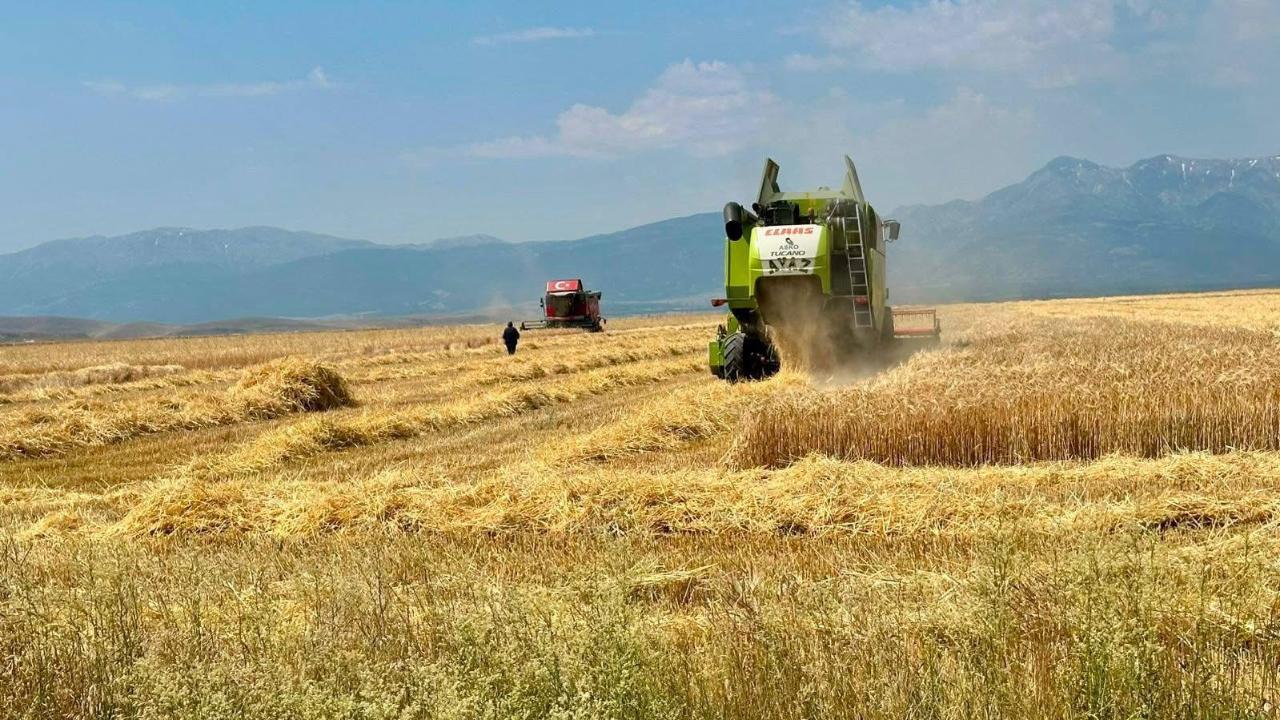 Bolvadin’de Hububat Hasadı Sürüyor: Üreticilere Yangın ve Trafik Güvenliği Uyarısı