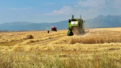 Bolvadin’de Hububat Hasadı Sürüyor: Üreticilere Yangın ve Trafik Güvenliği Uyarısı