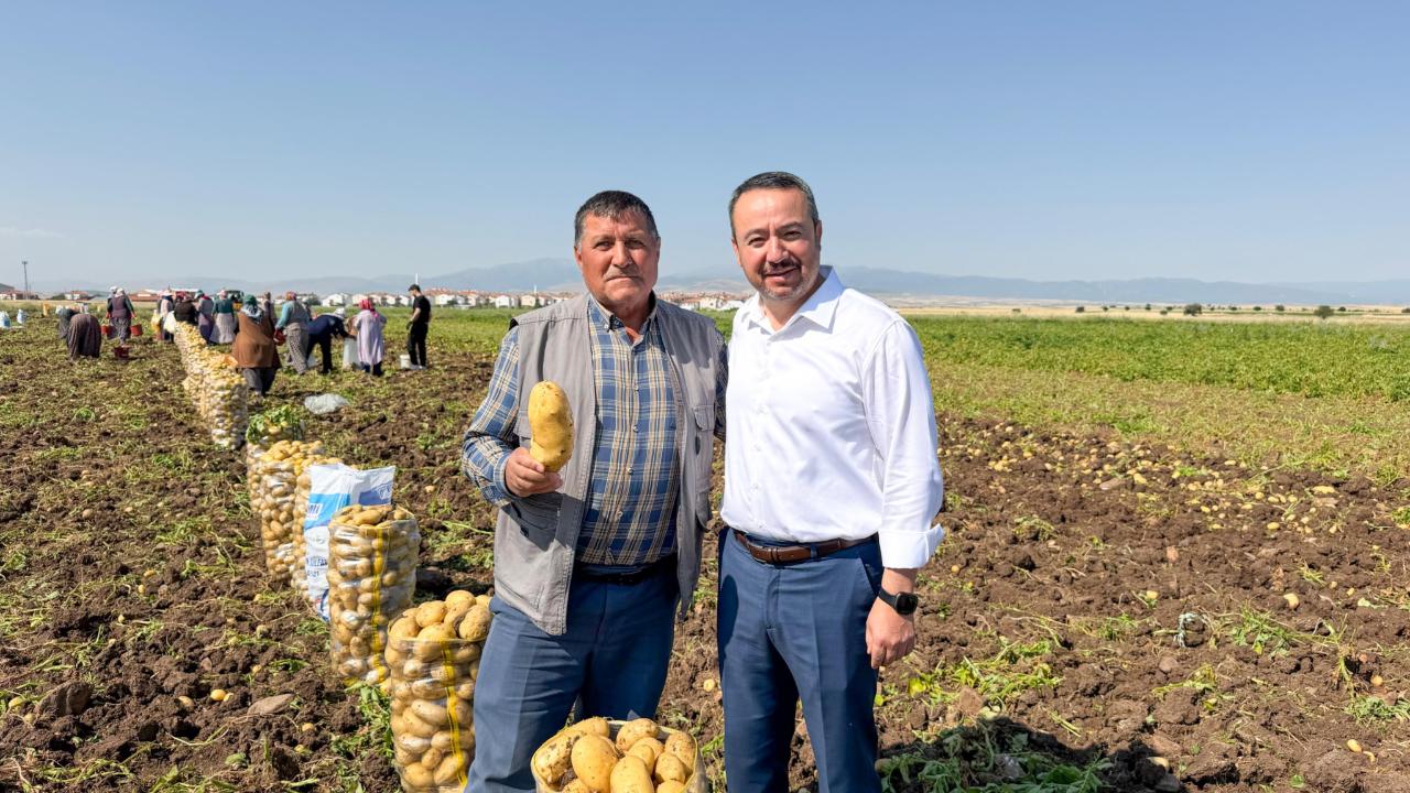 Sandıklı’da Patates Hasadı Başladı